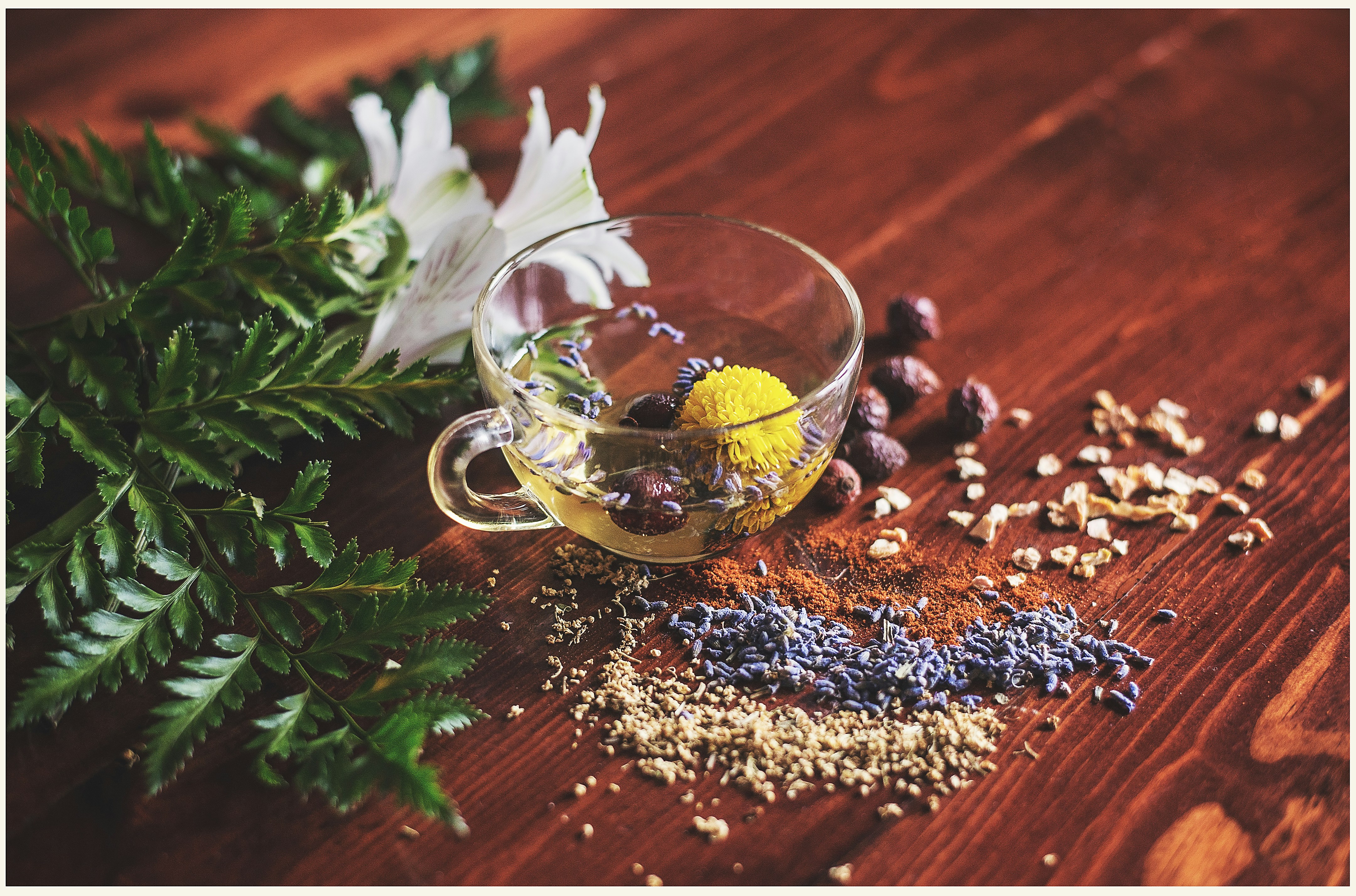 A glass tea cup filled with herbal tea, a yellow chamomile flower floating inside, surrounded by dried botanicals on a wooden table